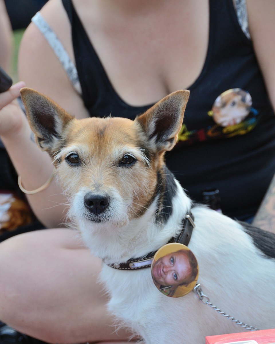 Faceback-I fought the lawn